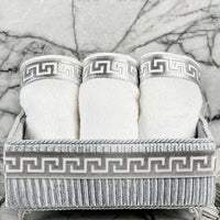 Anka Grey & Silver Towel Box Set